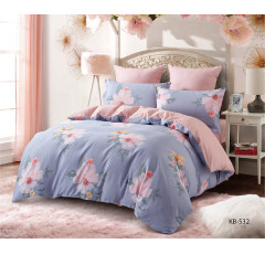 Постельное белье сатин печатный Karteks KB-532